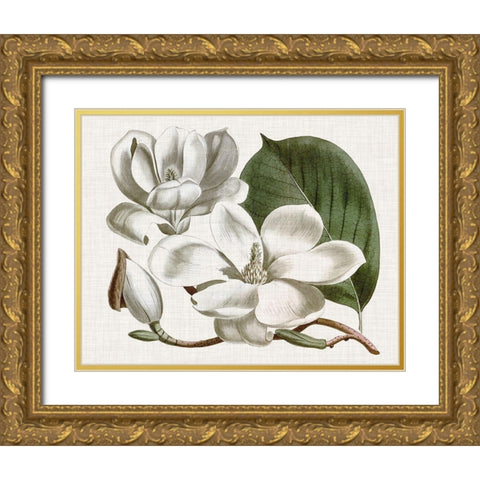 Curtis Magnolia I Gold Ornate Wood Framed Art Print with Double Matting by Curtis