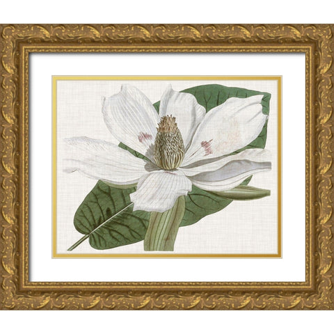 Curtis Magnolia II Gold Ornate Wood Framed Art Print with Double Matting by Curtis