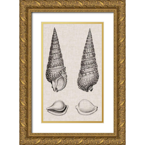 Charcoal and Linen Shells I Gold Ornate Wood Framed Art Print with Double Matting by Vision Studio