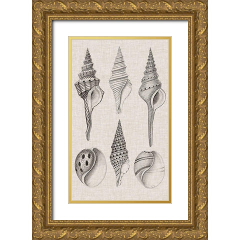 Charcoal and Linen Shells II Gold Ornate Wood Framed Art Print with Double Matting by Vision Studio