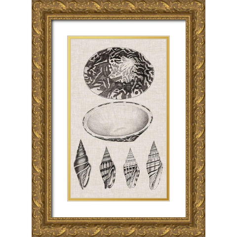 Charcoal and Linen Shells III Gold Ornate Wood Framed Art Print with Double Matting by Vision Studio