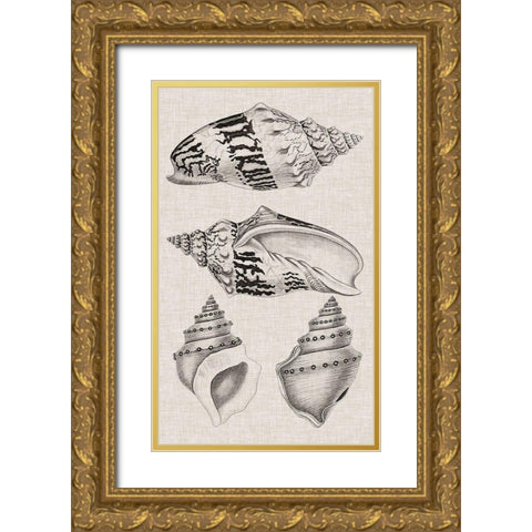 Charcoal and Linen Shells IV Gold Ornate Wood Framed Art Print with Double Matting by Vision Studio