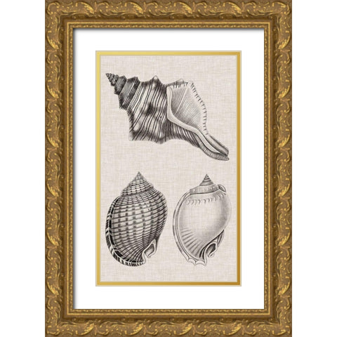Charcoal and Linen Shells V Gold Ornate Wood Framed Art Print with Double Matting by Vision Studio