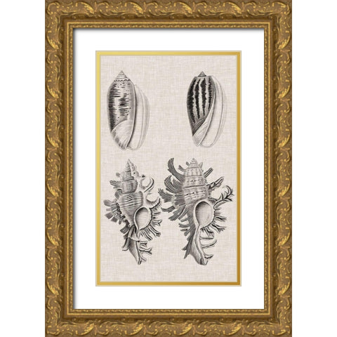 Charcoal and Linen Shells VII Gold Ornate Wood Framed Art Print with Double Matting by Vision Studio