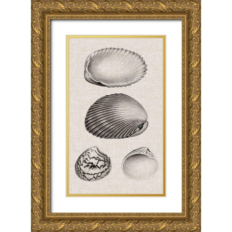 Charcoal and Linen Shells VIII Gold Ornate Wood Framed Art Print with Double Matting by Vision Studio