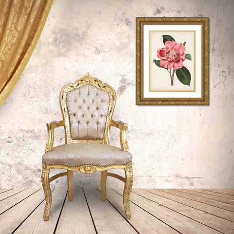 Carnelian Blooms I Gold Ornate Wood Framed Art Print with Double Matting by Curtis