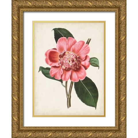 Carnelian Blooms I Gold Ornate Wood Framed Art Print with Double Matting by Curtis