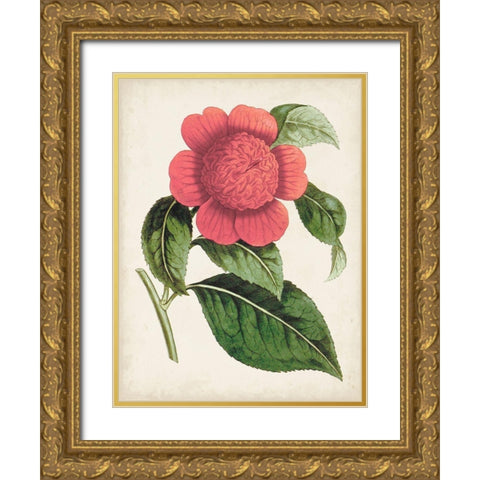 Carnelian Blooms II Gold Ornate Wood Framed Art Print with Double Matting by Curtis