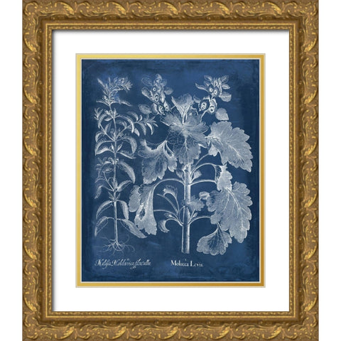 Besler Leaves in Indigo I Gold Ornate Wood Framed Art Print with Double Matting by Vision Studio