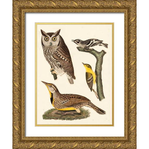 Wilson Owls III Gold Ornate Wood Framed Art Print with Double Matting by Wilson, Alexander