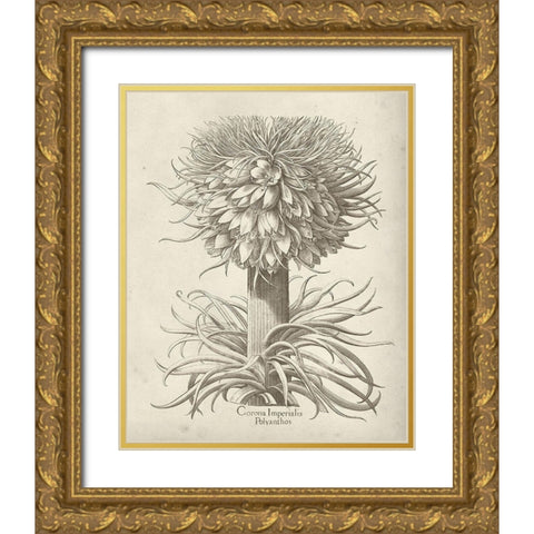 Fresco Crown Imperial I Gold Ornate Wood Framed Art Print with Double Matting by Vision Studio
