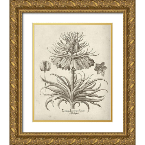 Fresco Crown Imperial III Gold Ornate Wood Framed Art Print with Double Matting by Vision Studio