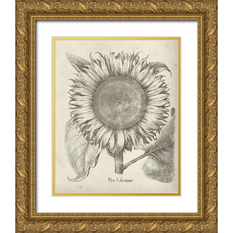 Fresco Sunflower I Gold Ornate Wood Framed Art Print with Double Matting by Vision Studio