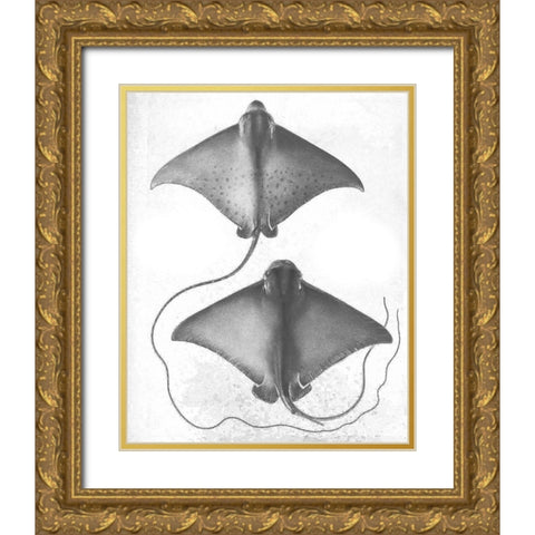 Grey-Scale Stingrays I Gold Ornate Wood Framed Art Print with Double Matting by Studio W