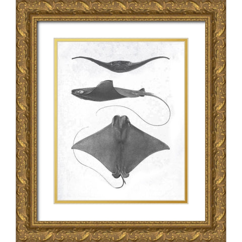Grey-Scale Stingrays II Gold Ornate Wood Framed Art Print with Double Matting by Studio W
