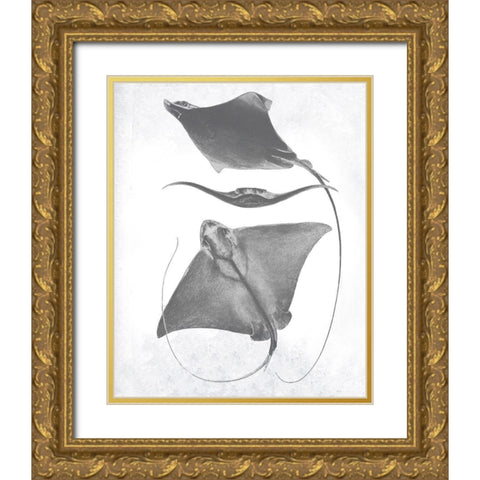 Grey-Scale Stingrays III Gold Ornate Wood Framed Art Print with Double Matting by Studio W