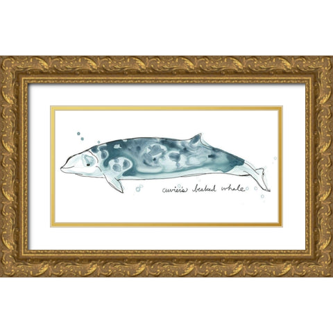 Cetacea Cuviers Beaked Whale Gold Ornate Wood Framed Art Print with Double Matting by Vess, June Erica