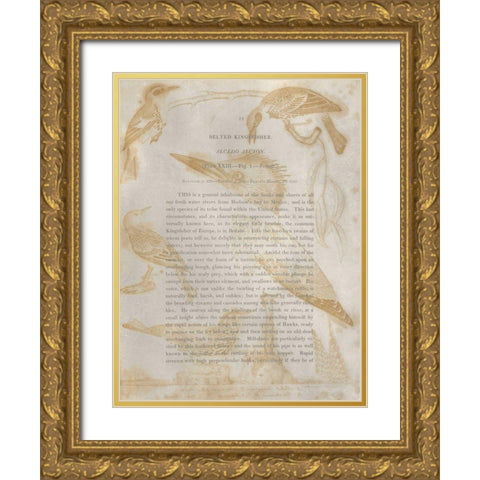 Ornithology Impressions I Gold Ornate Wood Framed Art Print with Double Matting by Wilson, Alexander