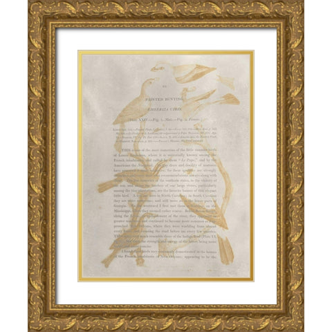 Ornithology Impressions II Gold Ornate Wood Framed Art Print with Double Matting by Wilson, Alexander