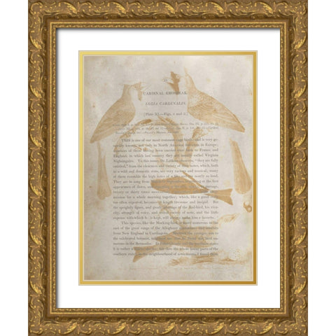 Ornithology Impressions IV Gold Ornate Wood Framed Art Print with Double Matting by Wilson, Alexander