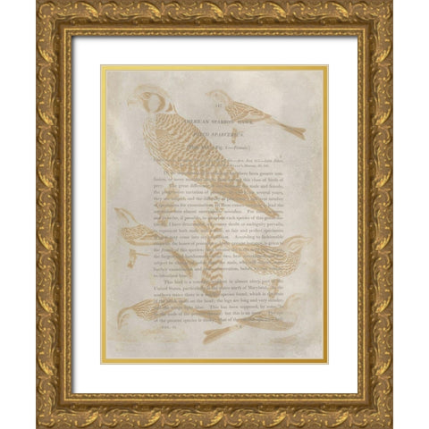 Ornithology Impressions V Gold Ornate Wood Framed Art Print with Double Matting by Wilson, Alexander