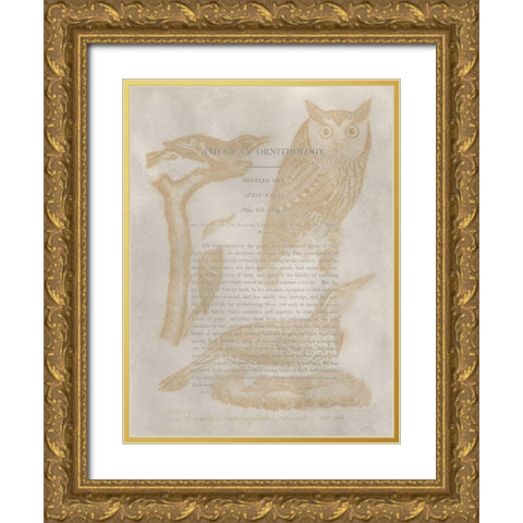 Ornithology Impressions VI Gold Ornate Wood Framed Art Print with Double Matting by Wilson, Alexander