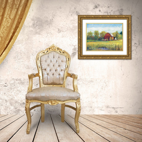 Rural America I Gold Ornate Wood Framed Art Print with Double Matting by OToole, Tim