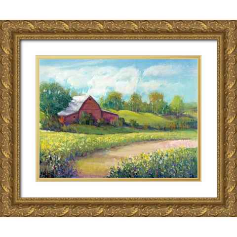 Rural America II Gold Ornate Wood Framed Art Print with Double Matting by OToole, Tim