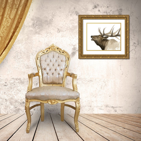 Call of the Elk II Gold Ornate Wood Framed Art Print with Double Matting by Popp, Grace