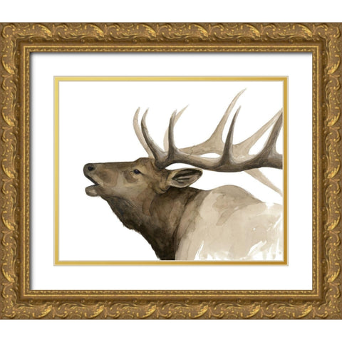 Call of the Elk II Gold Ornate Wood Framed Art Print with Double Matting by Popp, Grace