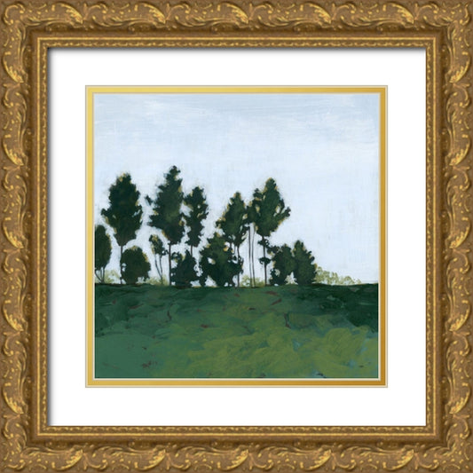 Perspective Image