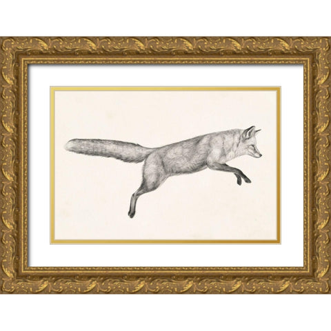 Flying Fox I Gold Ornate Wood Framed Art Print with Double Matting by Borges, Victoria