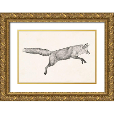 Flying Fox I Gold Ornate Wood Framed Art Print with Double Matting by Borges, Victoria