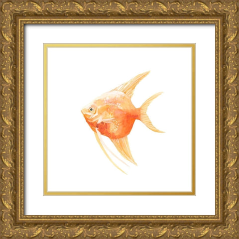 Discus Fish III Gold Ornate Wood Framed Art Print with Double Matting by Scarvey, Emma