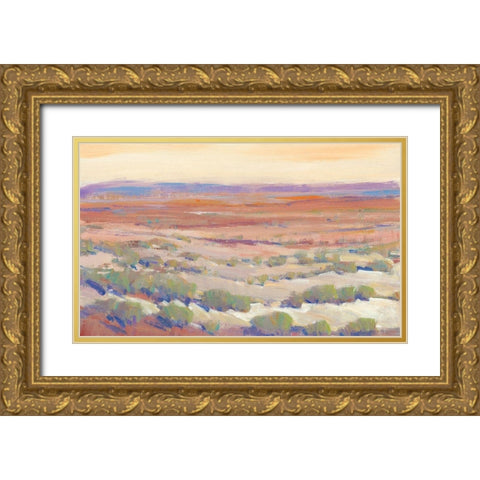 High Desert Pastels II Gold Ornate Wood Framed Art Print with Double Matting by OToole, Tim