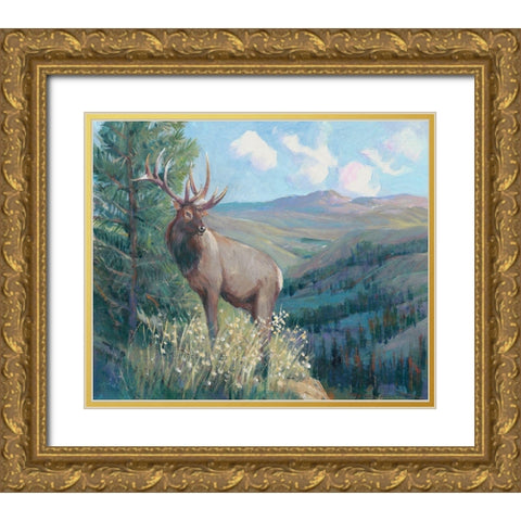 View From the Top II Gold Ornate Wood Framed Art Print with Double Matting by OToole, Tim