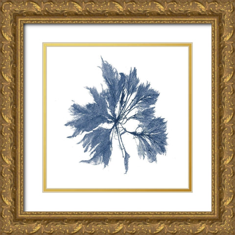Navy Seaweed I Gold Ornate Wood Framed Art Print with Double Matting by Vision Studio