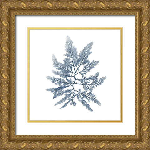 Navy Seaweed II Gold Ornate Wood Framed Art Print with Double Matting by Vision Studio