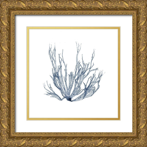 Navy Seaweed IV Gold Ornate Wood Framed Art Print with Double Matting by Vision Studio