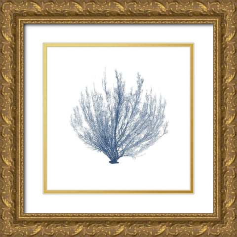 Navy Seaweed VI Gold Ornate Wood Framed Art Print with Double Matting by Vision Studio