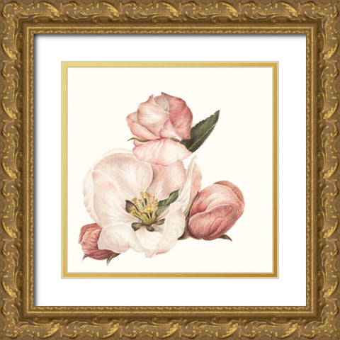 Enlightenment Blossom IV Gold Ornate Wood Framed Art Print with Double Matting by Liama, Lily