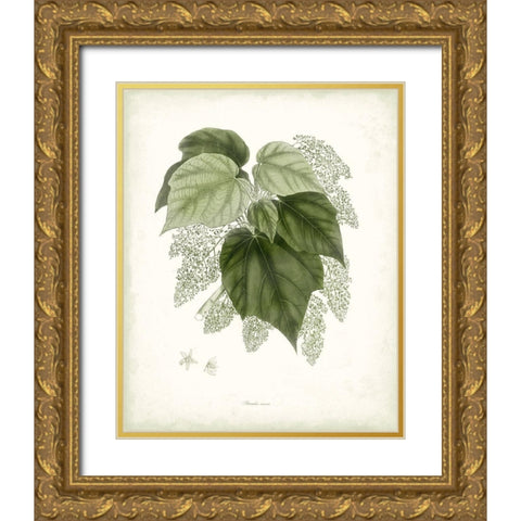 Sage Botanical III Gold Ornate Wood Framed Art Print with Double Matting by Vision Studio