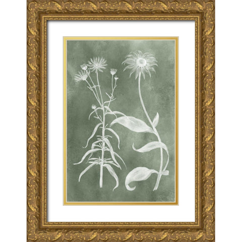 Sage Impressions IV Gold Ornate Wood Framed Art Print with Double Matting by Vision Studio