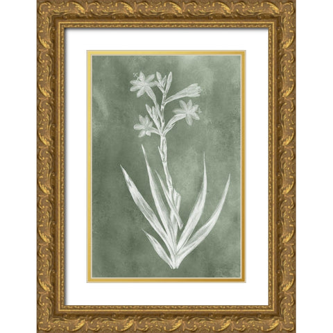 Sage Impressions V Gold Ornate Wood Framed Art Print with Double Matting by Vision Studio