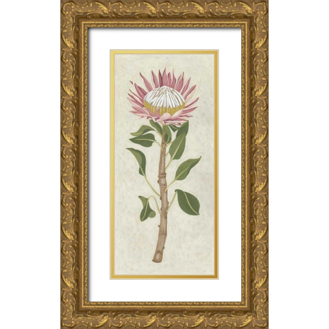 Non-Embellished Protea I Gold Ornate Wood Framed Art Print with Double Matting by Zarris, Chariklia