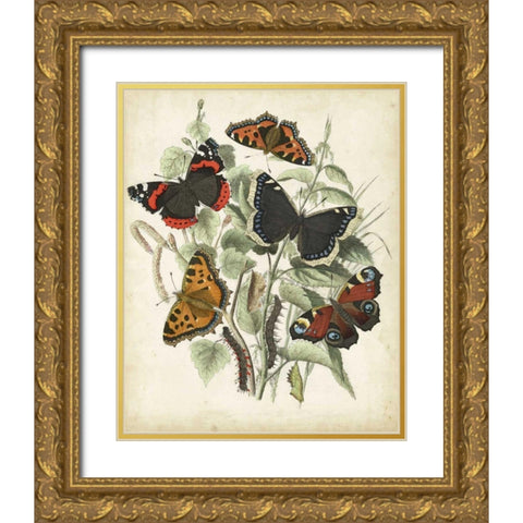 Non-Embellished Butterfly Haven I Gold Ornate Wood Framed Art Print with Double Matting by Vision Studio