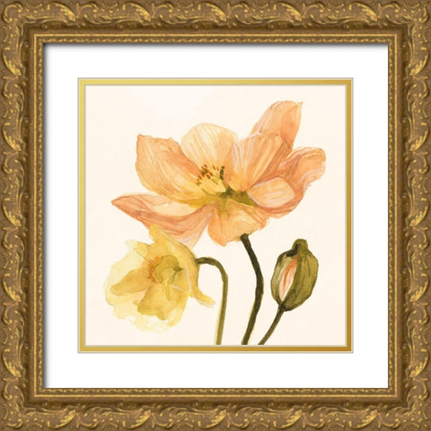 Highpoint Poppies II Gold Ornate Wood Framed Art Print with Double Matting by Scarvey, Emma