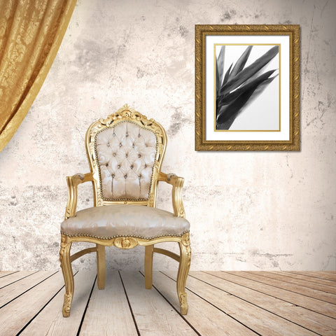 BandW Bamboo I Gold Ornate Wood Framed Art Print with Double Matting by Stramel, Renee W.