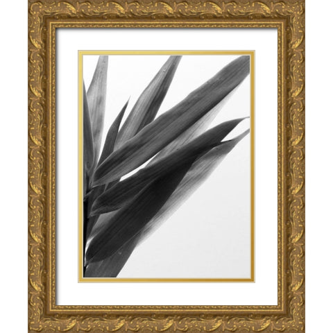 BandW Bamboo I Gold Ornate Wood Framed Art Print with Double Matting by Stramel, Renee W.