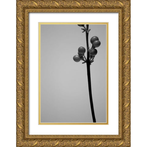 Liriope III Gold Ornate Wood Framed Art Print with Double Matting by Stramel, Renee W.